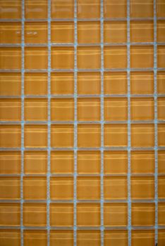 Yellow ceramic mosaic on the wall as background.