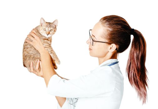 Young woman doctor veterinarian wearing in a white coat examining a kitten isolated on a white background. Cat staring at camera.
