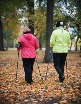 Two elderly women are involved in Scandinavian walking in the park in off-road in the middle of the trees. Back view. Wide shot