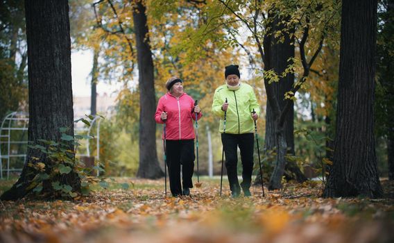 Two puffer jacket elderly women are involved in Scandinavian walking in the park in off-road in the middle of the trees. Wide shot