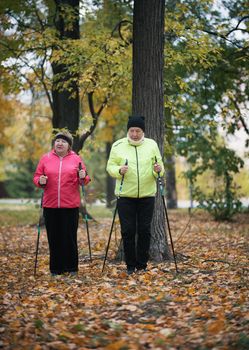 Two elderly women are involved in Scandinavian walking in the park on leaves in the middle of the trees. Wide shot