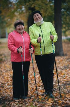 Two elderly women are standing in a park with sticks for nordic walking. Wide shot