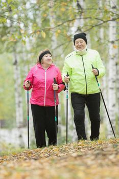 Two jacket dressed elderly women are involved in Scandinavian walking in the park in off-road. Wide shot. Autumn