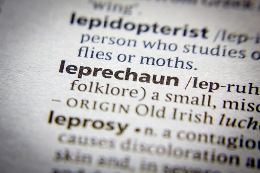 Word or phrase Leprechaun in a dictionary