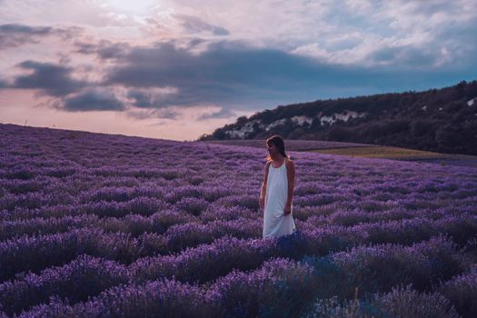 Lavender flower blooming scented fields in endless rows. Selective focus on Bushes of lavender purple aromatic flowers at lavender field. Abstract blur for background.