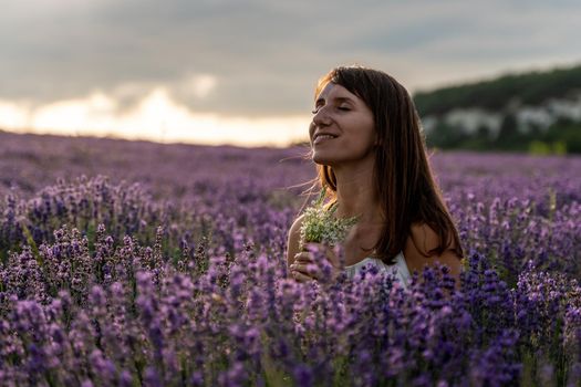 Lavender flower blooming scented fields in endless rows. Selective focus on Bushes of lavender purple aromatic flowers at lavender field. Abstract blur for background.