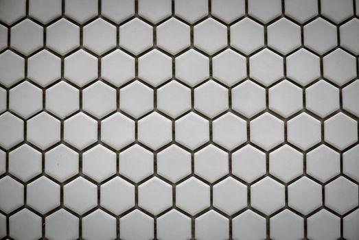 White ceramic cells on the wall as background.