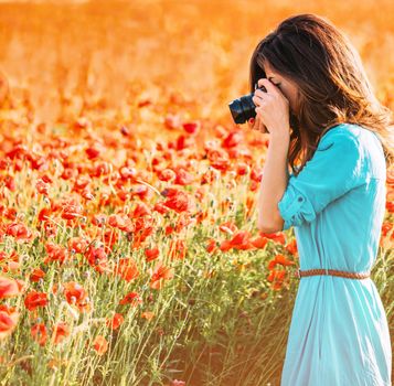 Photographer young woman taking photographs with camera the poppies meadow on sunny day.