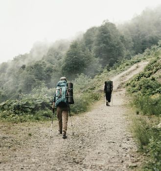 Two unrecognizable hikers with backpack and trekking poles walking on the path in mountains in misty weather, rear view.
