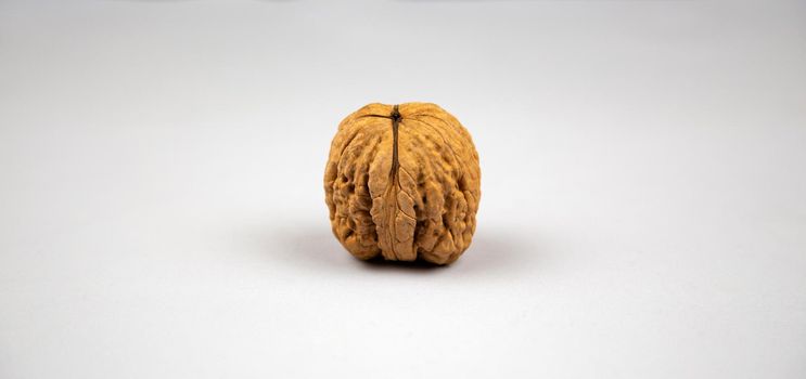 Creative poster Walnut in shell closeup gray background with copy space. Nut Macro concept