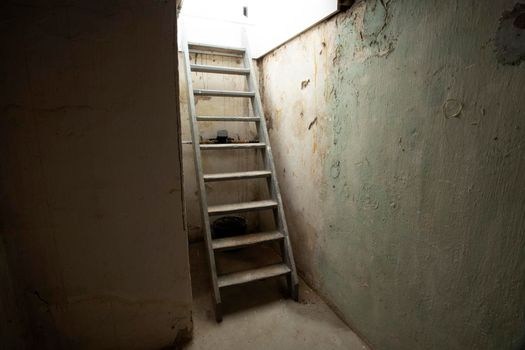 Cellar wooden Stairs leading down to stone and brick lower level in dark basement, old abandoned building scary