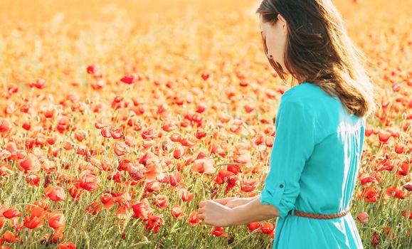 Young woman wearing in blue dress picking red poppies flowers in meadow.