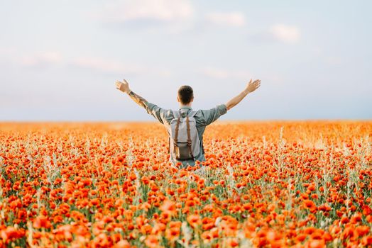 Happy traveler man with backpack standing with hands up in red poppies flowers meadow, rear view.