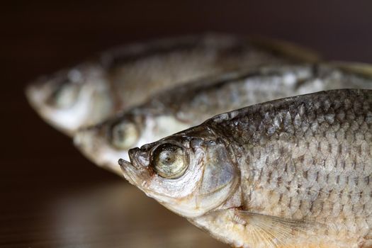 Dried roach on the dark brown background - good snack to beer. Close-up