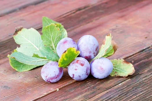 Ripe purple plums with leaves on the brown background