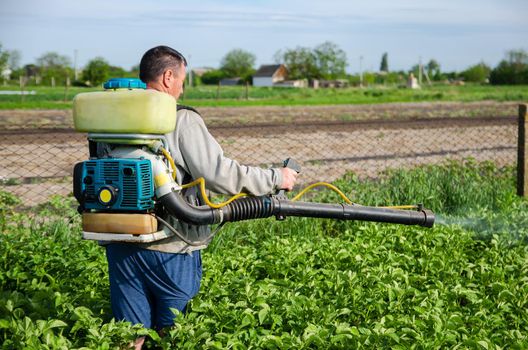 A farmer sprays chemicals on a potato plantation field. Control of use of chemicals growing food. Increased harvest. Protection of cultivated plants from insects and fungal infections.