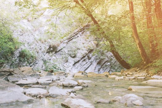 Mountain river or creek flowing among stones in a rocky gorge.