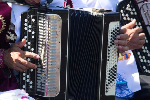 Hands of old man playing folk music on accordion, close up