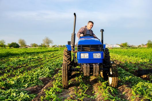 The farmer rides towards on farm field. Harvesting crops campaign, earthworks. Agro industry, agribusiness. Farming, agriculture. Harvesting potatoes in early spring. Countryside farmland.