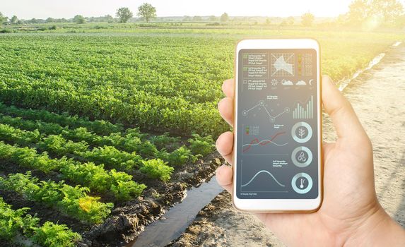 Phone with data and infographics on the background of a farm field plantation. Innovative technologies in the agroindustry and food production. Process of crop maturation, moisture and soil nutrition.