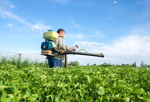 Male farmer with a mist sprayer processes potato bushes with chemicals. Protection of cultivated plants from insects and fungal infections. Control of use of chemicals. Farming growing vegetables