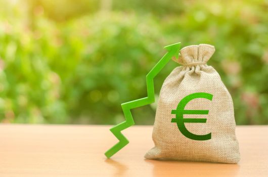 Money bag with Euro symbol and green up arrow. Increase profits and wealth. growth of wages. Favorable conditions for business. Investment attraction. loans and subsidies. favorable conditions