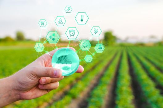 Holding a globe with innovations on farm field background. Use of innovative technologies in agriculture. Internet of Things and industry digitalization. Agroindustry and agribusiness. Agriculture