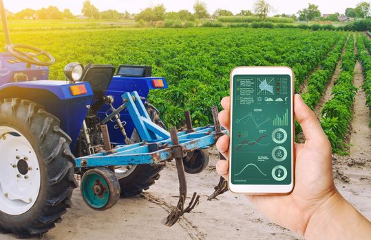 A hand is holding a smartphone with infographics on background of tractor and Bulgarian pepper plantation. Farming and agriculture. Agricultural machinery, data analyzing on plants status. harvesting