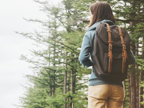 Explorer young woman with backpack walking in summer forest, rear view.