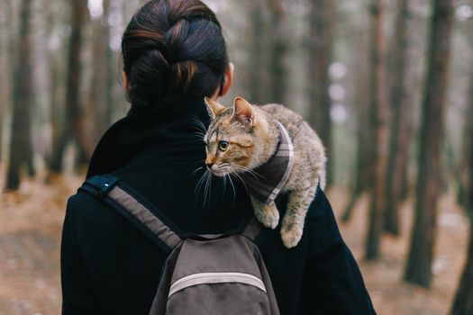 Cute kitten of ginger color sitting on shoulder of woman in the forest, concept of travel.