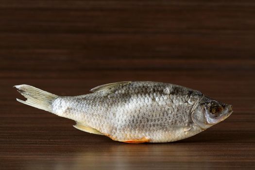 Dried roach on the dark brown background - good snack to beer