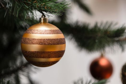 Christmas ball hanging on a christmas tree branch with copy space on white background.