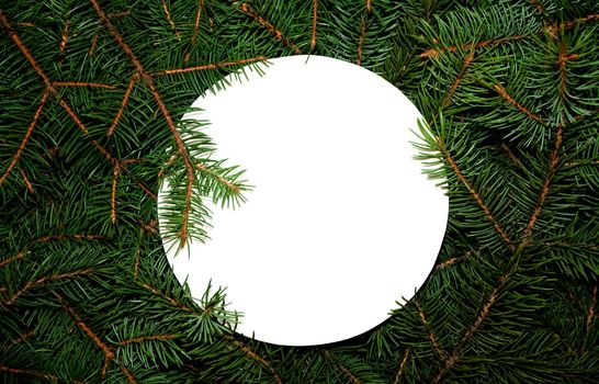 Fir Branches with Copy Space For Your Text. Creative Nature Concept of New Year. Minimal Holiday Composition. Top View Flat Lay