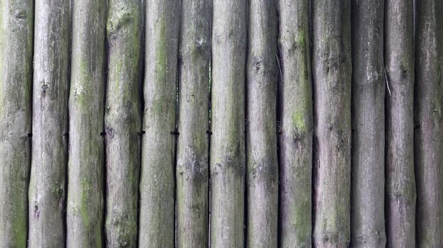 The fence is built of logs. Gray background. Rough logs wall vertical background. Old wood, natural wall material.