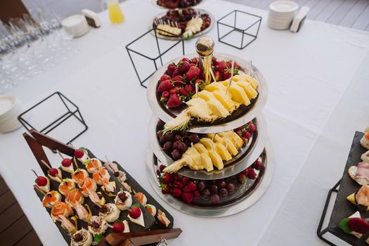 Different fruits and light snack on tray on wedding party