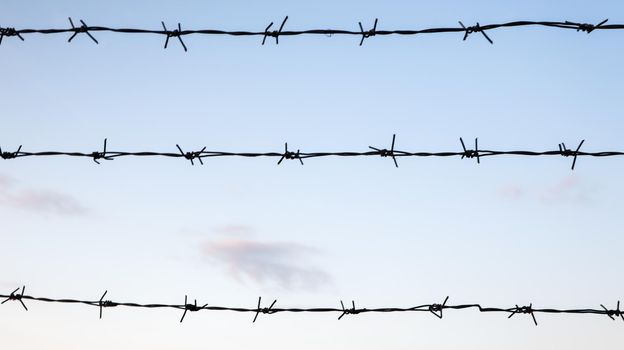 Barbed wire against a blue sky closeup. Fence or fencing in a closed area