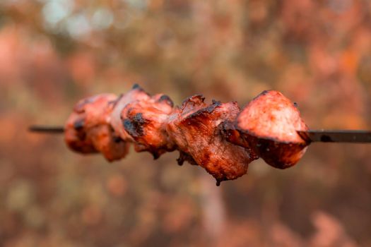 Close-up Shish kebab on skewers on blured nature background.