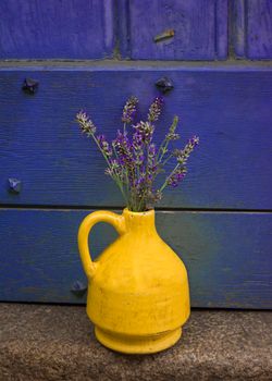 Lavender in a yellow kouvinum on a background of purple shabby door