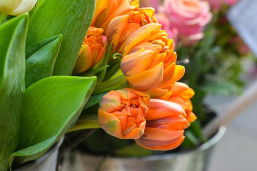 Orange tulips in a vase. Spring concept.