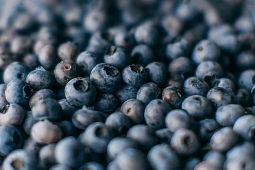 A lot of blueberries picked in forest. Close up background texture with summer fruits with selective focus