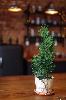 Small tree with garland in Stylish loft interior of kitchen with many lights. Concept of preparing Christmas Eve and New Year party, selective focus