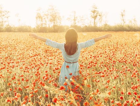 Rear view of brunette young woman walking with raised arms in flower meadow and enjoying of freedom on sunny day in summer vacations.