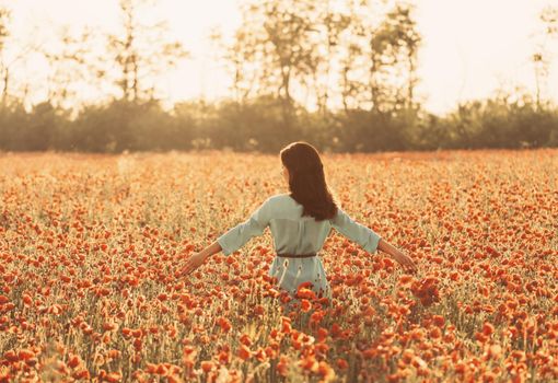 Beautiful girl walking through poppy field and touching flowers, summer vacations.