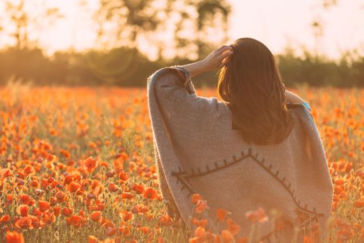 Unrecognizable woman wearing in poncho walking in red poppies flowers meadow at sunset outdoor, rear view.