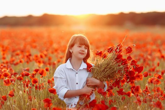 Little longhaired girl in white dress posing at field of poppies with a bouquet of poppies in her hands on summer sunset