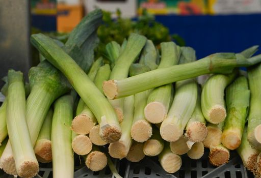 Leek on the counter in the market