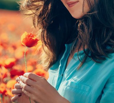 Red poppy in female hands outdoor. Unrecognizable smiling woman with flower.