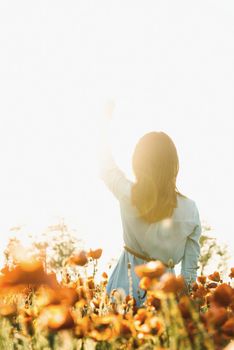 Rear view of young woman playing with sunbeams in poppy flower meadow in summer. Romantic girl waving her hand to the sun, concept of new day and dreams.