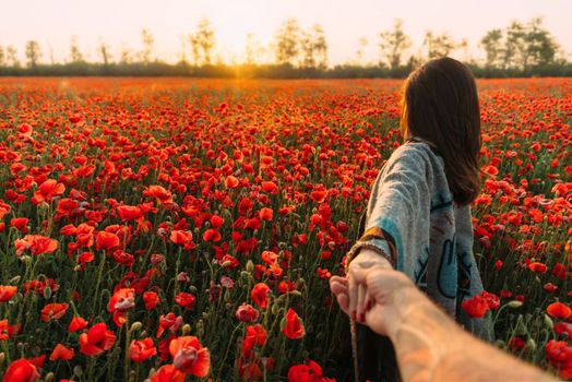 Couple in love. Man follows a brunette young woman in poppy flower meadow at summer sunset, point of view.