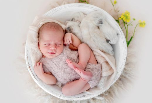 Adorable newborn baby boy sleeping with little fluffy kittens in white basin. Cute infant kid wearing knitted costume napping with small cats during studio photoshoot